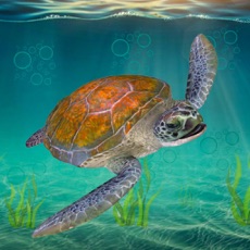Activities of Sea Turtle Survival Sim Games