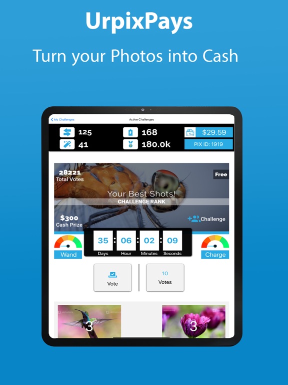 Screenshot #5 pour UrPixPays