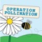 Icon Operation Pollination