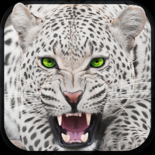 Wild Snow Leopard Simulator iOS App