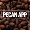 PecanApp icon