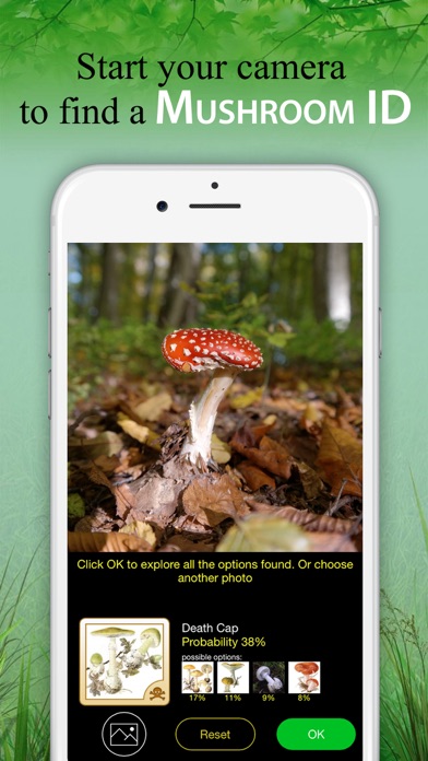 Mushroom Book & Identification Screenshot