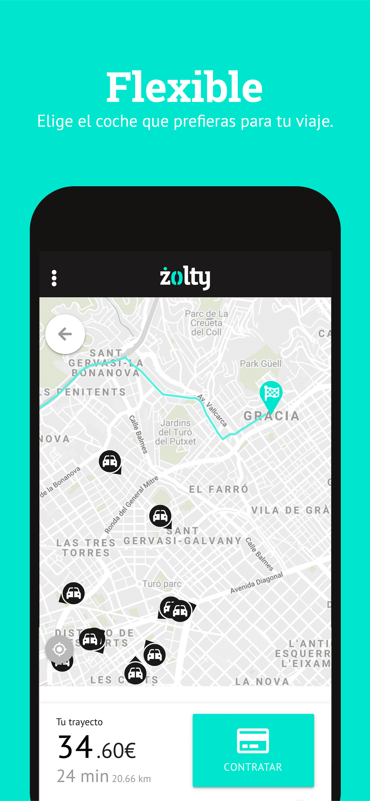 Zolty