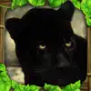 Similar Panther Simulator Apps