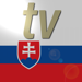 Slovak TV+