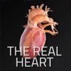 The Real Heart icon