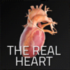 The Real Heart - Docs4D GmbH