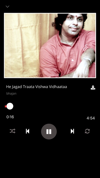 Satsang with Swamiji screenshot-3