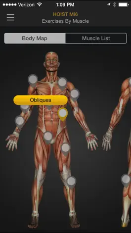 Game screenshot HOIST Strength mod apk