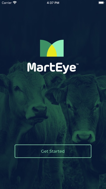 MartEye screenshot-4