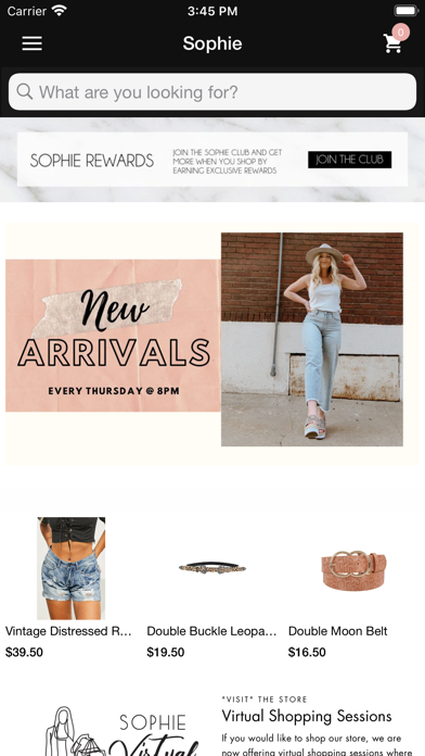 Sophie Boutique Screenshot