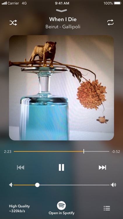 Discographic for Discogs screenshot-6