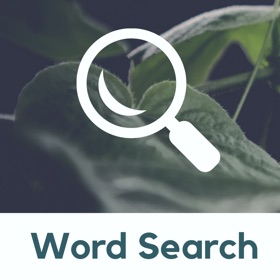 螢幕擷取畫面 (4) Word Search Puzzle Generator