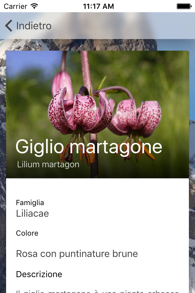 Parco delle Alpi Liguri