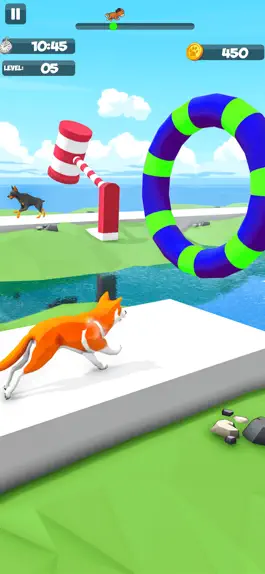 Game screenshot Dog Run Racer - Веселая гонка hack