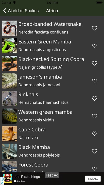 Amazing World Of Snakes screenshot-6