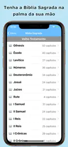 Companheiro Católico screenshot #4 for iPhone