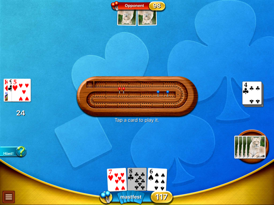 Cribbage Premium iPad app afbeelding 4