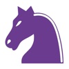 Pegasus Chess icon