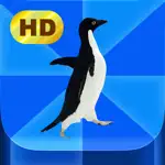 Meme Pics HD App Positive Reviews