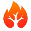 火树浏览器 icon
