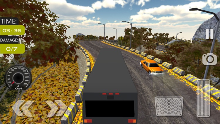 Offroad Tourist Bus Sim screenshot-3