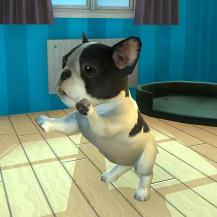 Pets Project Cheats