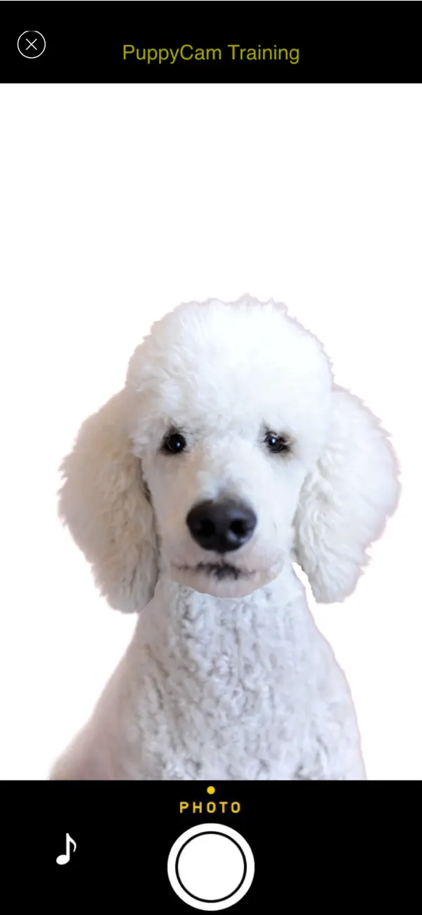 PuppyCam Screenshot 2