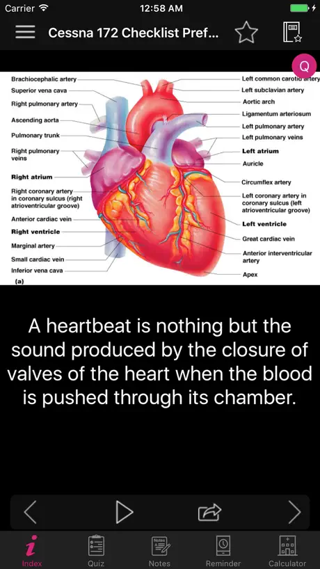 Amazing Human Body Facts, Quiz