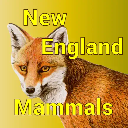 New England Mammals Cheats