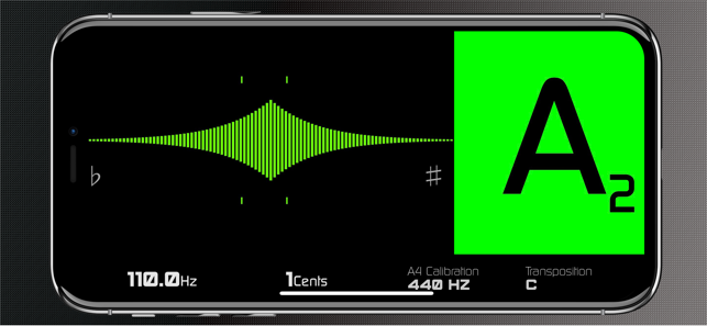 ‎Chroma Tuner & Metronome Screenshot