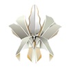 Secret Orchid Colombia icon