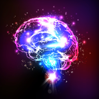 Training Brain - IQ test