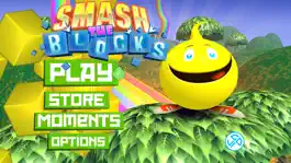 Game screenshot Smash the Blocks hack