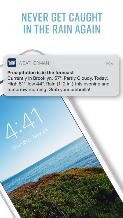 Weatherman Umbrella