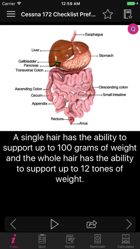 Amazing Human Body Facts, Quiz