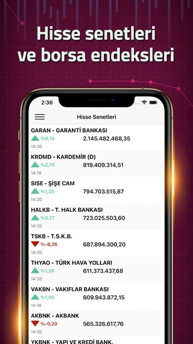 Döviz Kurları Altın Borsa Screenshot