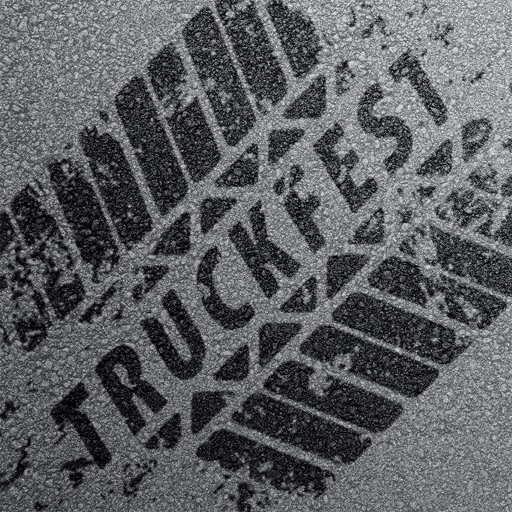 TruckFest
