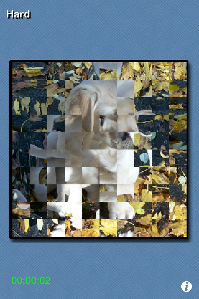 PictureFlip screenshot 3