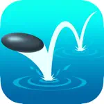 Drifting Stone App Positive Reviews