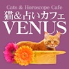 猫＆占いカフェVENUS（ビーナス） 公式アプリ icon