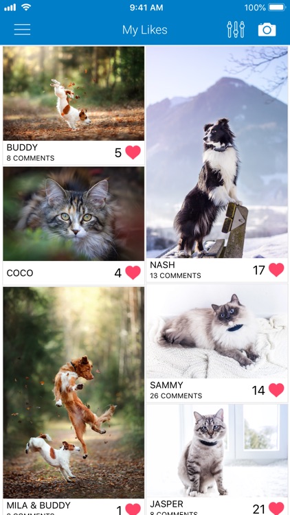 Tractive Pet Photos Gallery screenshot-5
