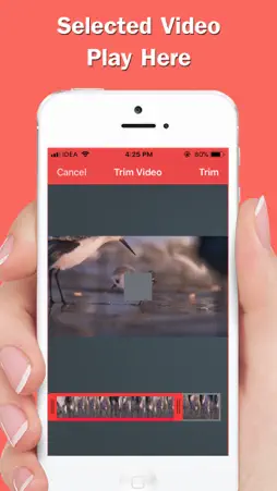 Infinite Loop Video & Reverse screenshot 3