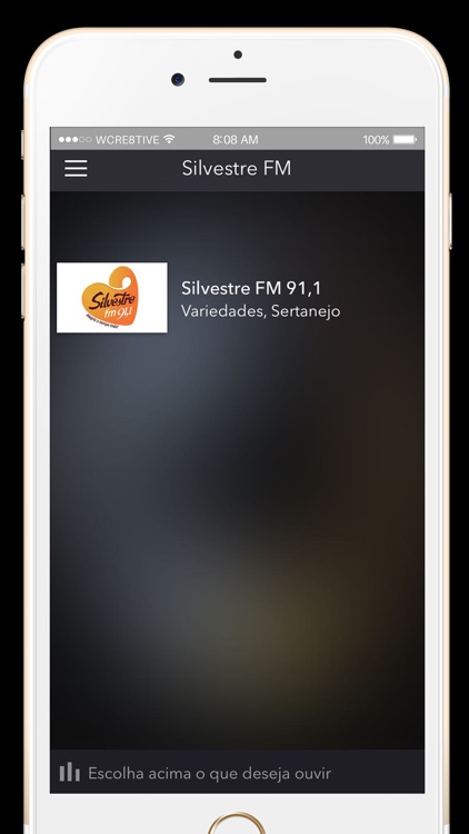 Silvestre FM 91,1 screenshot-3