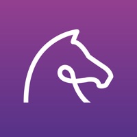 Ridely - Horse Riding на пк