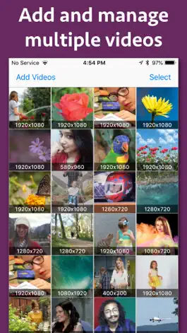 Game screenshot Cinemagraph Maker apk