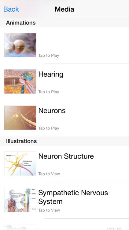Brain & Nervous Anatomy Olio screenshot-3