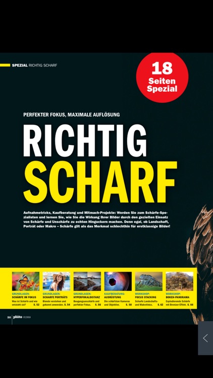 DigitalPHOTO | Magazin screenshot-3