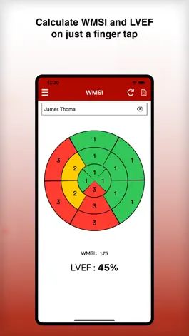 Game screenshot WMSI apk