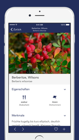 Früchte und Beeren PRO screenshot